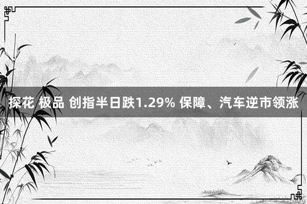 探花 极品 创指半日跌1.29% 保障、汽车逆市领涨