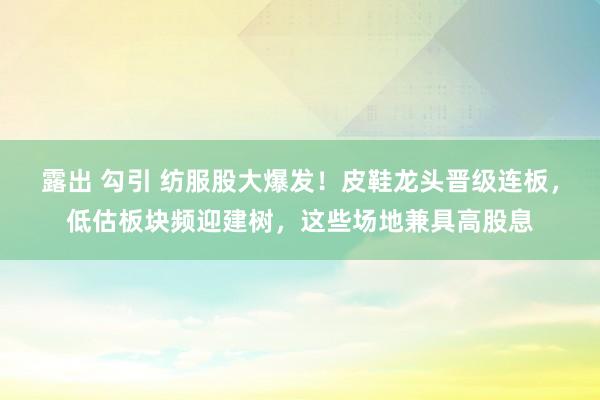 露出 勾引 纺服股大爆发！皮鞋龙头晋级连板，低估板块频迎建树，这些场地兼具高股息