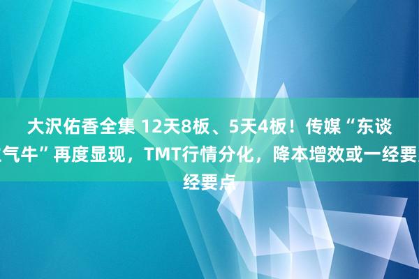 大沢佑香全集 12天8板、5天4板！传媒“东谈主气牛”再度显现，TMT行情分化，降本增效或一经要点