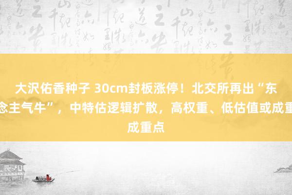 大沢佑香种子 30cm封板涨停！北交所再出“东说念主气牛”，中特估逻辑扩散，高权重、低估值或成重点