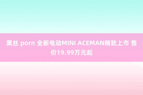 黑丝 porn 全新电动MINI ACEMAN精致上市 售价19.99万元起