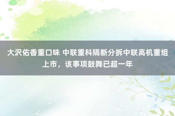 大沢佑香重口味 中联重科隔断分拆中联高机重组上市，该事项鼓舞已超一年