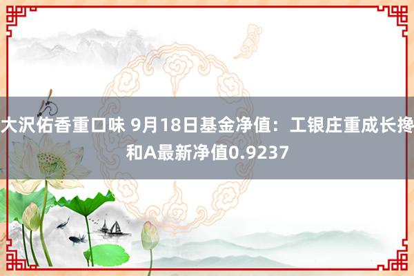 大沢佑香重口味 9月18日基金净值：工银庄重成长搀和A最新净值0.9237