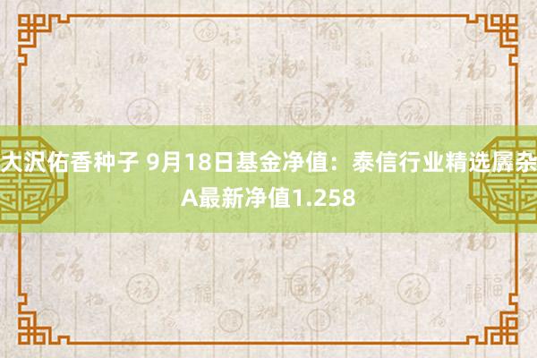 大沢佑香种子 9月18日基金净值：泰信行业精选羼杂A最新净值1.258