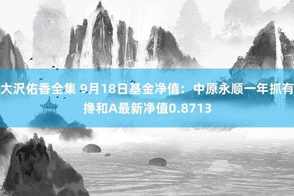 大沢佑香全集 9月18日基金净值：中原永顺一年抓有搀和A最新净值0.8713