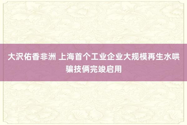 大沢佑香非洲 上海首个工业企业大规模再生水哄骗技俩完竣启用