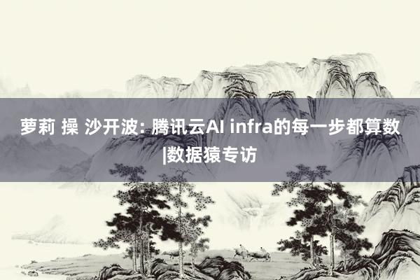 萝莉 操 沙开波: 腾讯云AI infra的每一步都算数|数据猿专访