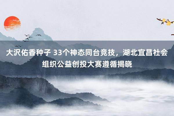 大沢佑香种子 33个神态同台竞技，湖北宜昌社会组织公益创投大赛遵循揭晓