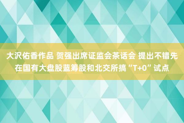 大沢佑香作品 贺强出席证监会茶话会 提出不错先在国有大盘股蓝筹股和北交所搞“T+0”试点