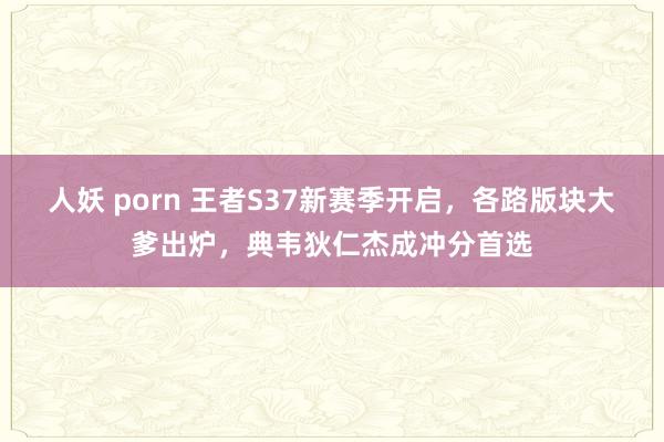 人妖 porn 王者S37新赛季开启，各路版块大爹出炉，典韦狄仁杰成冲分首选