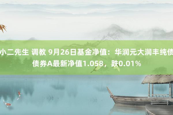 小二先生 调教 9月26日基金净值：华润元大润丰纯债债券A最新净值1.058，跌0.01%