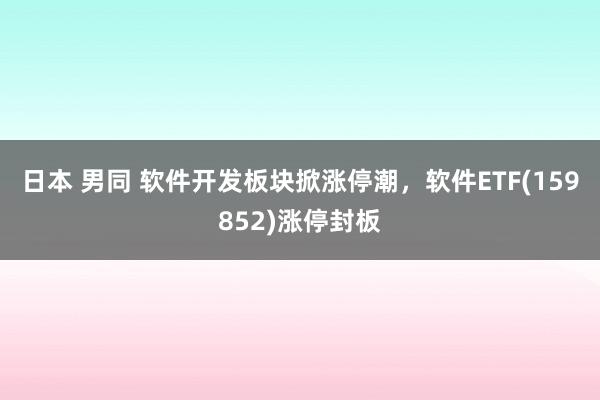 日本 男同 软件开发板块掀涨停潮，软件ETF(159852)涨停封板