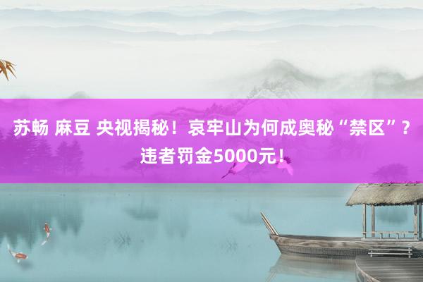 苏畅 麻豆 央视揭秘！哀牢山为何成奥秘“禁区”？违者罚金5000元！