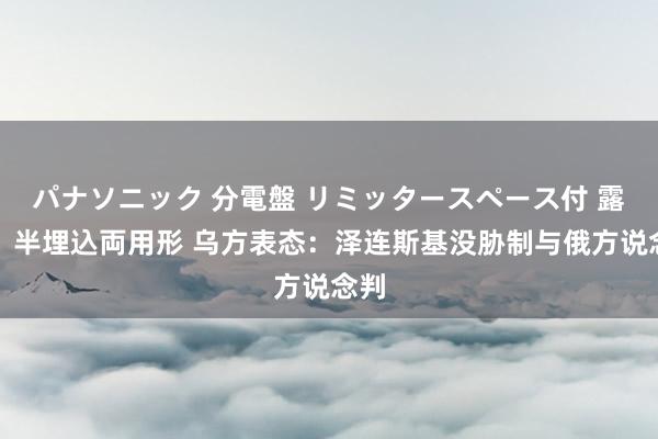 パナソニック 分電盤 リミッタースペース付 露出・半埋込両用形 乌方表态：泽连斯基没胁制与俄方说念判