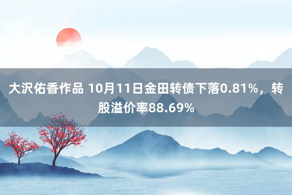 大沢佑香作品 10月11日金田转债下落0.81%，转股溢价率88.69%