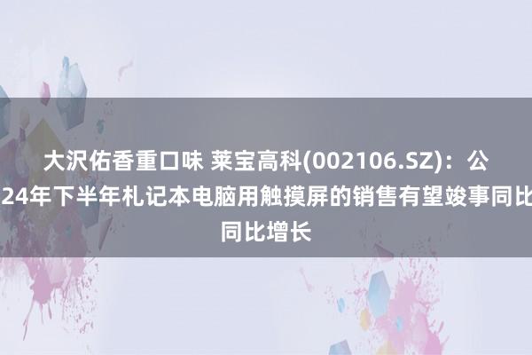 大沢佑香重口味 莱宝高科(002106.SZ)：公司2024年下半年札记本电脑用触摸屏的销售有望竣事同比增长