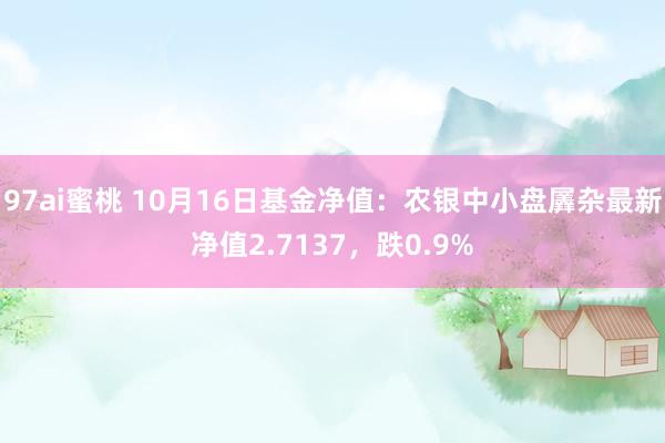 97ai蜜桃 10月16日基金净值：农银中小盘羼杂最新净值2.7137，跌0.9%