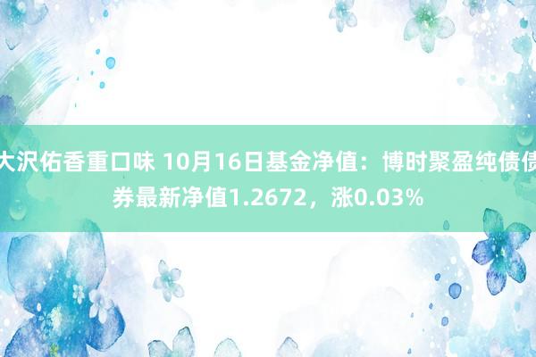 大沢佑香重口味 10月16日基金净值：博时聚盈纯债债券最新净值1.2672，涨0.03%