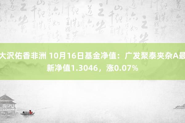 大沢佑香非洲 10月16日基金净值：广发聚泰夹杂A最新净值1.3046，涨0.07%