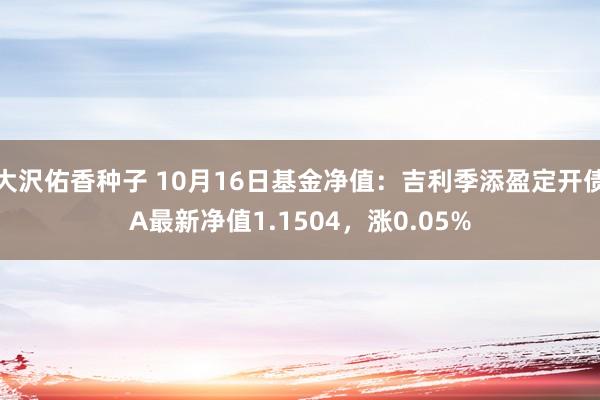 大沢佑香种子 10月16日基金净值：吉利季添盈定开债A最新净值1.1504，涨0.05%