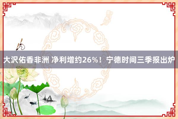 大沢佑香非洲 净利增约26%！宁德时间三季报出炉