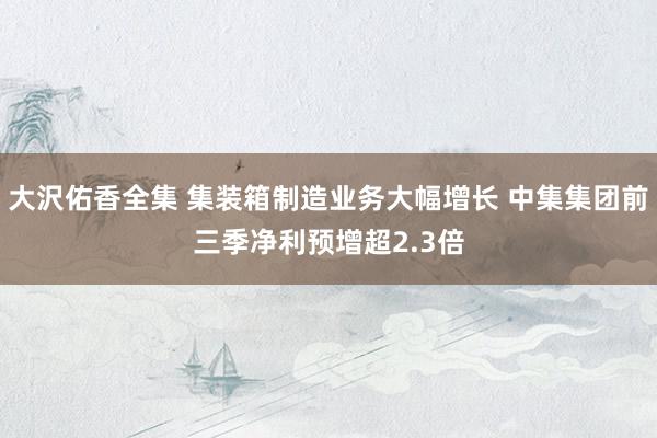 大沢佑香全集 集装箱制造业务大幅增长 中集集团前三季净利预增超2.3倍