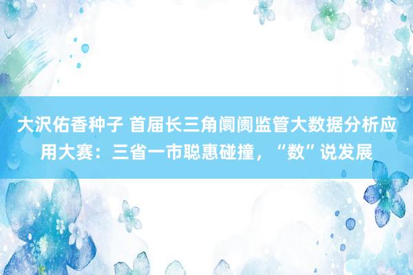 大沢佑香种子 首届长三角阛阓监管大数据分析应用大赛：三省一市聪惠碰撞，“数”说发展