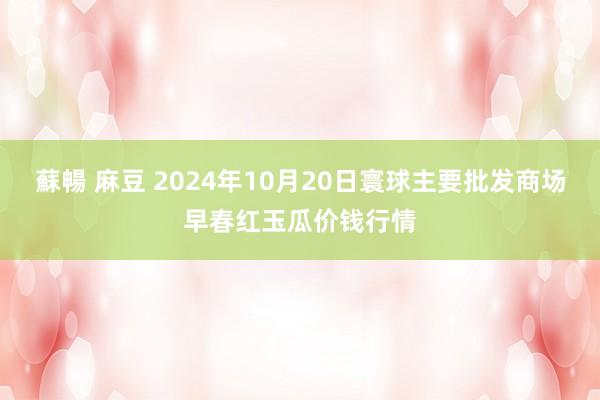 蘇暢 麻豆 2024年10月20日寰球主要批发商场早春红玉瓜价钱行情