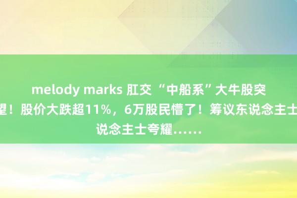 melody marks 肛交 “中船系”大牛股突遭立案看望！股价大跌超11%，6万股民懵了！筹议东说念主士夸耀……