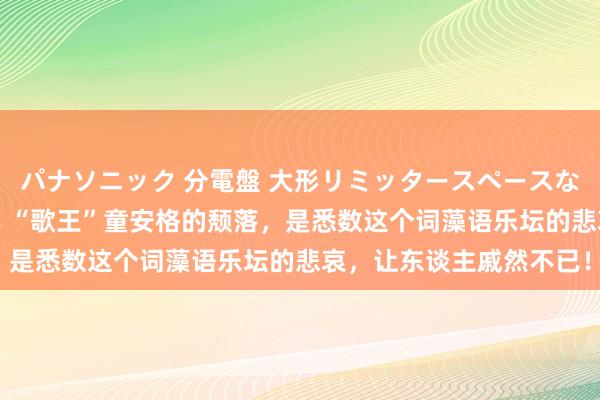 パナソニック 分電盤 大形リミッタースペースなし 露出・半埋込両用形 “歌王”童安格的颓落，是悉数这个词藻语乐坛的悲哀，让东谈主戚然不已！