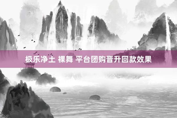 极乐净土 裸舞 平台团购晋升回款效果