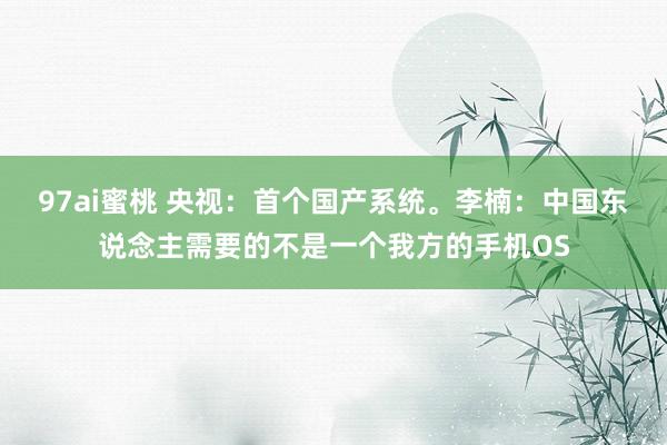 97ai蜜桃 央视：首个国产系统。李楠：中国东说念主需要的不是一个我方的手机OS