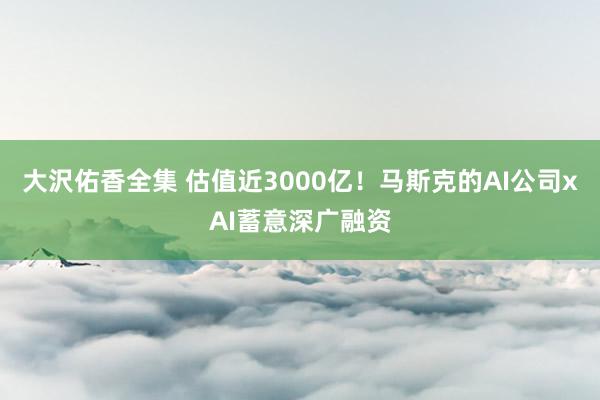 大沢佑香全集 估值近3000亿！马斯克的AI公司xAI蓄意深广融资