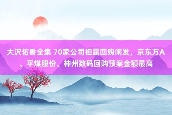 大沢佑香全集 70家公司袒露回购阐发，京东方A、平煤股份、神州数码回购预案金额最高