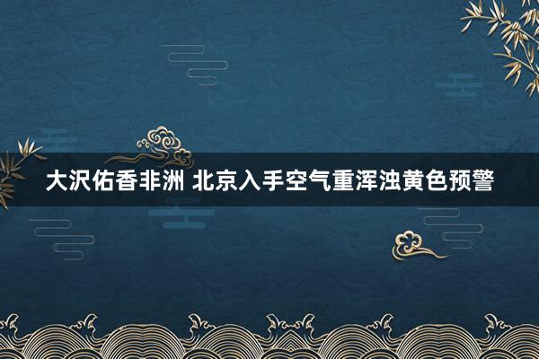 大沢佑香非洲 北京入手空气重浑浊黄色预警