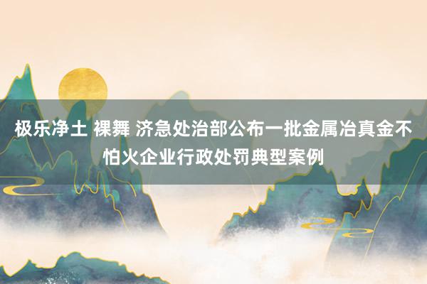 极乐净土 裸舞 济急处治部公布一批金属冶真金不怕火企业行政处罚典型案例