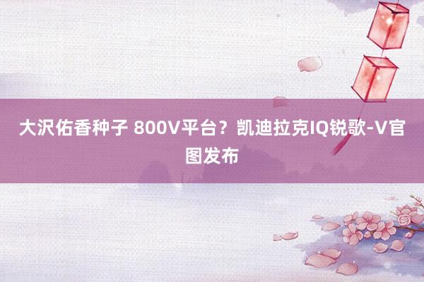 大沢佑香种子 800V平台？凯迪拉克IQ锐歌-V官图发布