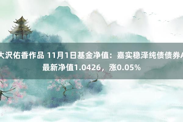 大沢佑香作品 11月1日基金净值：嘉实稳泽纯债债券A最新净值1.0426，涨0.05%