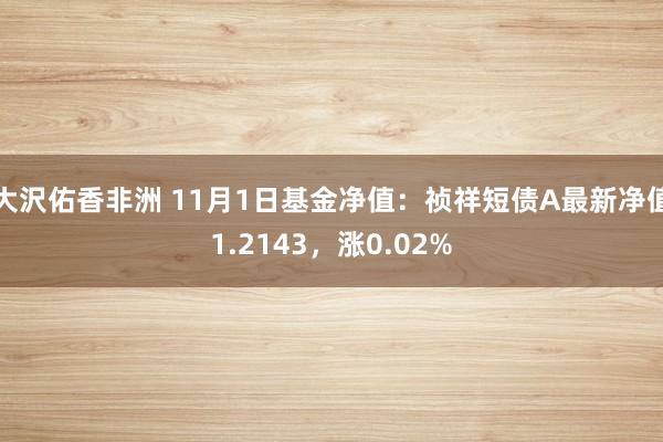 大沢佑香非洲 11月1日基金净值：祯祥短债A最新净值1.2143，涨0.02%