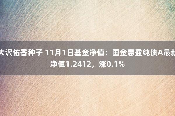 大沢佑香种子 11月1日基金净值：国金惠盈纯债A最新净值1.2412，涨0.1%