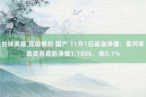 丝袜美腿 自拍偷拍 国产 11月1日基金净值：星河家盈债券最新净值1.1886，涨0.1%