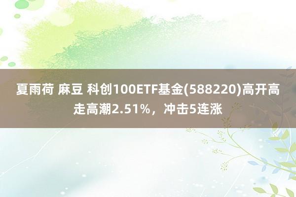 夏雨荷 麻豆 科创100ETF基金(588220)高开高走高潮2.51%，冲击5连涨