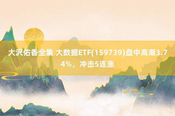 大沢佑香全集 大数据ETF(159739)盘中高潮3.74%，冲击5连涨