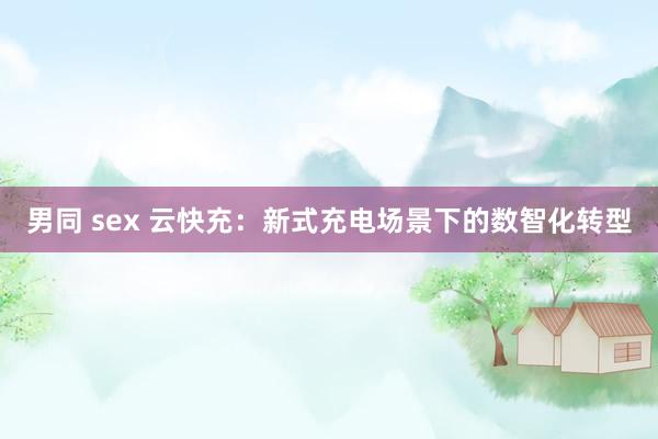 男同 sex 云快充：新式充电场景下的数智化转型