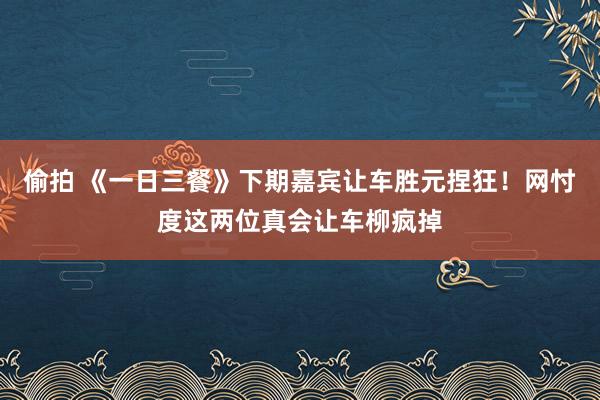 偷拍 《一日三餐》下期嘉宾让车胜元捏狂！网忖度这两位真会让车柳疯掉