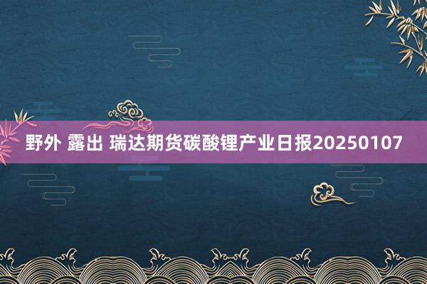 野外 露出 瑞达期货碳酸锂产业日报20250107