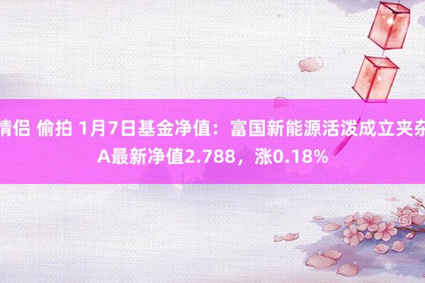 情侣 偷拍 1月7日基金净值：富国新能源活泼成立夹杂A最新净值2.788，涨0.18%