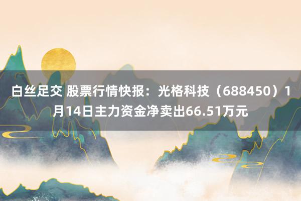 白丝足交 股票行情快报：光格科技（688450）1月14日主力资金净卖出66.51万元