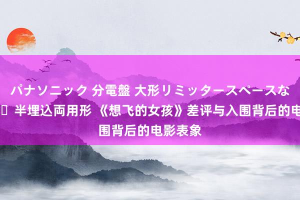 パナソニック 分電盤 大形リミッタースペースなし 露出・半埋込両用形 《想飞的女孩》差评与入围背后的电影表象